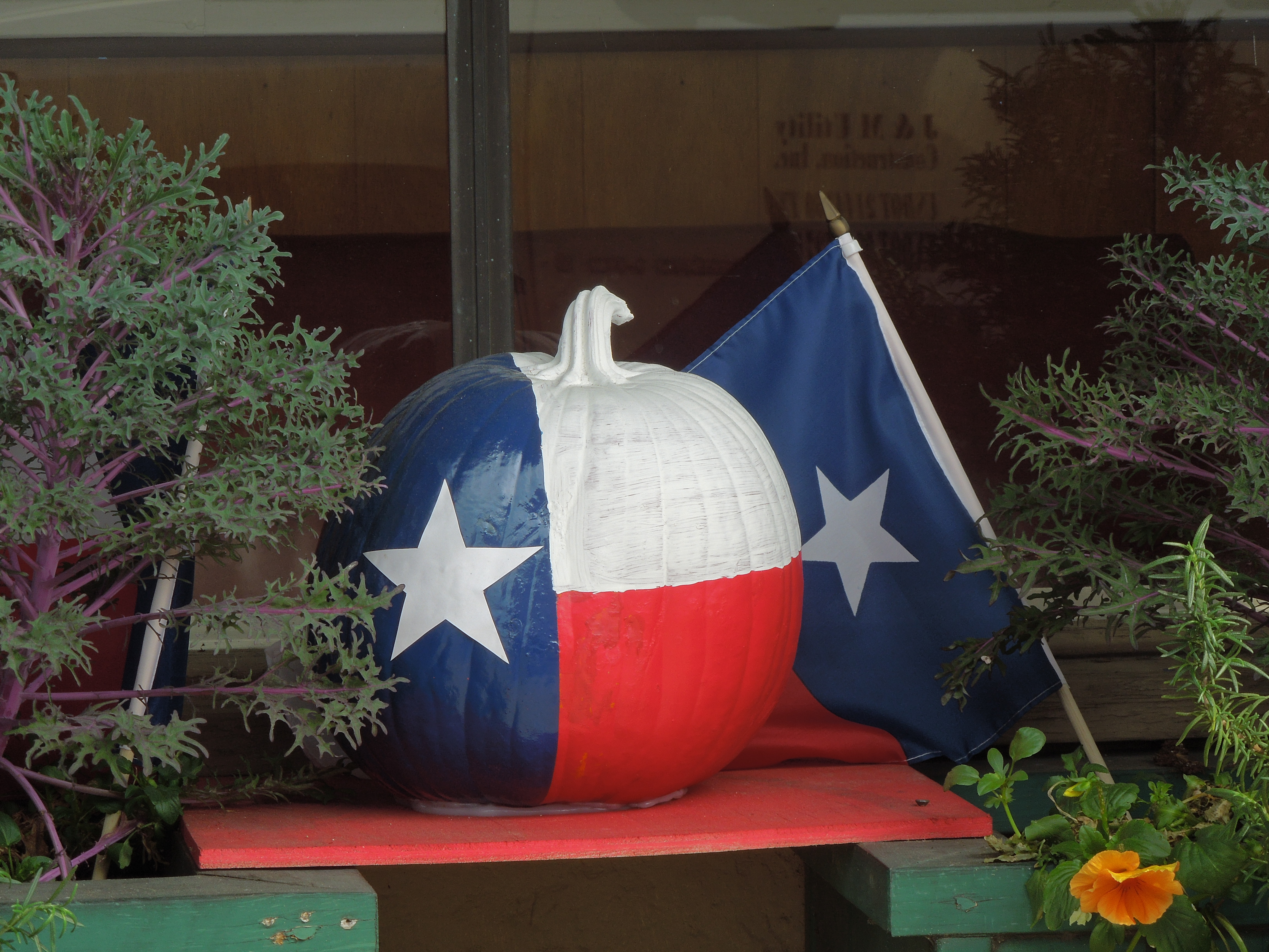 Pumpkin Decorating Contest